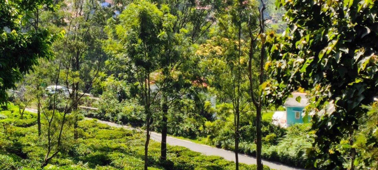 Adithya Sunrise View Cottage Kotagiri Zewnętrze zdjęcie